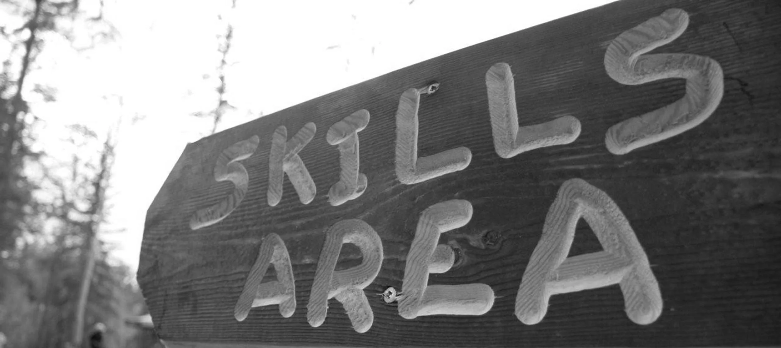 skills area.jpg