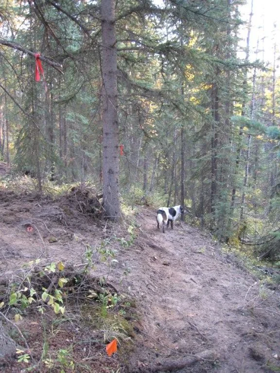 Day%25204%2520Main%2520Trail%2520%25286%2529.jpg