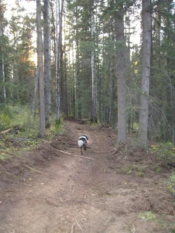 Day%25204%2520Main%2520Trail.jpg