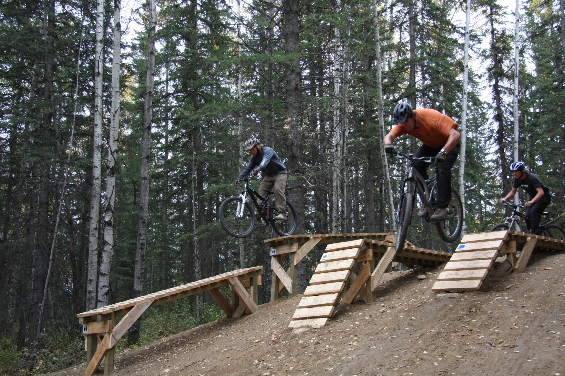 mountain bike wooden features