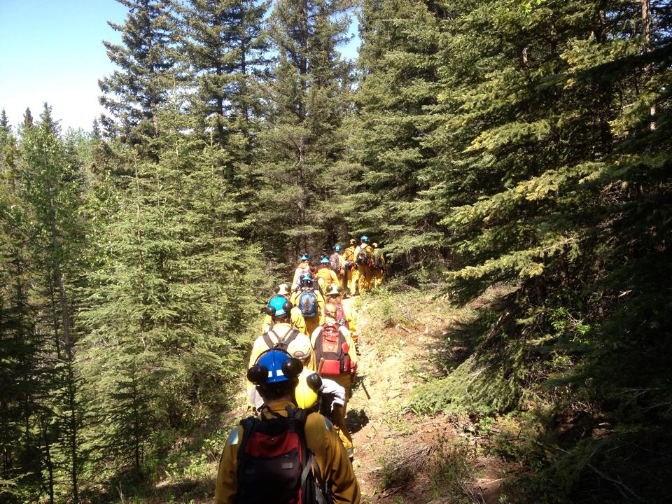 Alberta Junior Forest Rangers Helped With Repairs on Happy Creek Trail