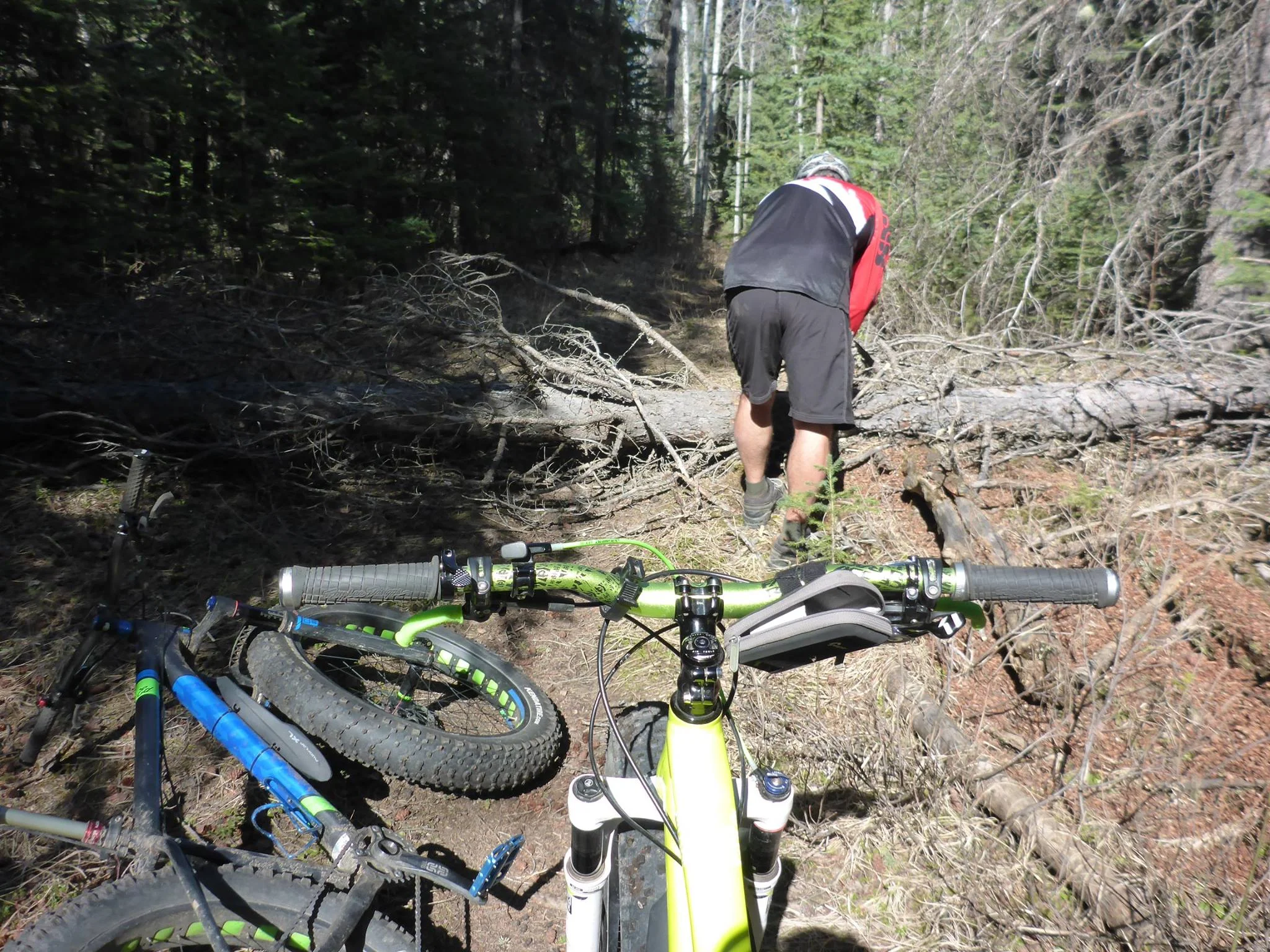 Photo credit: S.Pelley, HMBA facebook group. Local member contributing many volly hours on our trails!