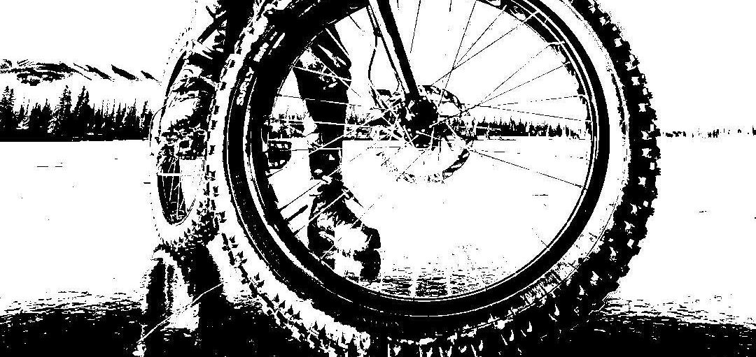 14939478_713380495485163_1721170950312898689_o.jpg
