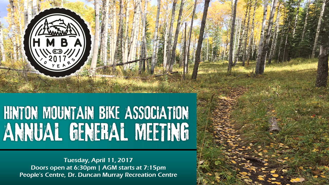 Annual General Meeting