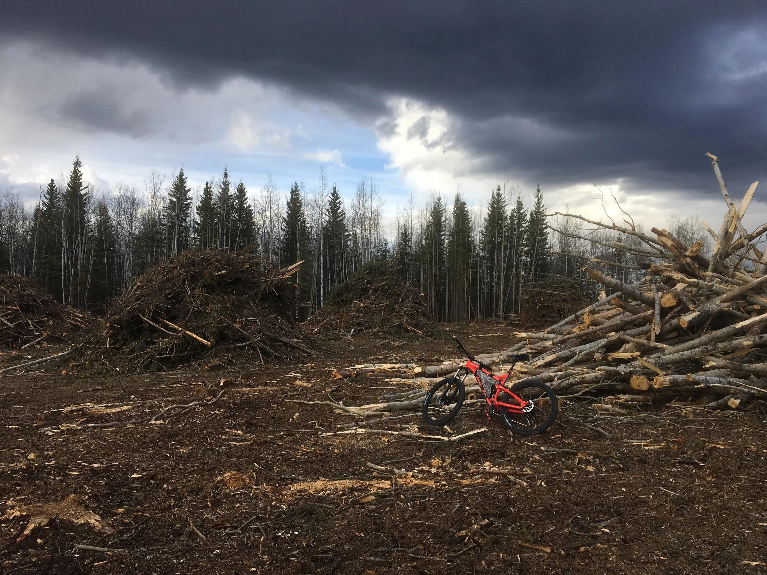 It is nearly impossible to find where the trail was...