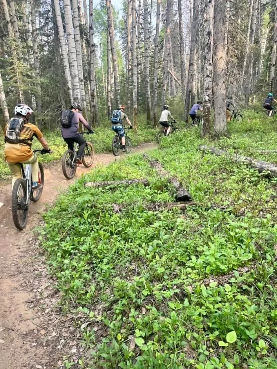 🚲✨ Last minute group ride tonight! ✨🚲

Meet us at the Hinton Bike Park at 7pm for a fun evening ride. Everyone is welcome ~ bring your bike and let&rsquo;s roll! 🙌

See you on the trails! 🌲🔥

#bikehinton #hmba #mountainbiking