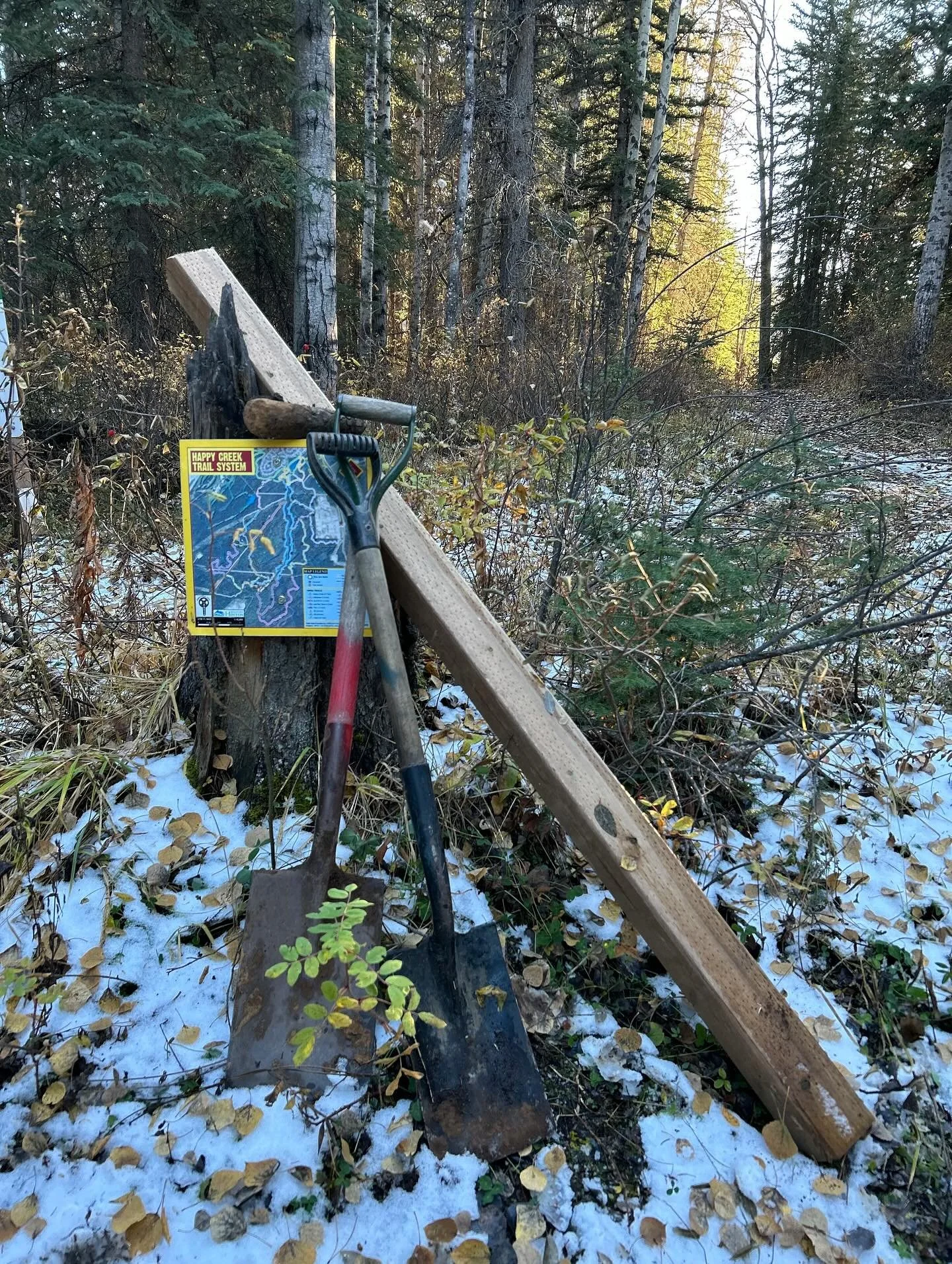Have you spotted some new posts popping up along the Happy Creek trails? π
We’ve been getting a head start on installing posts for future wayfinding arrows ~ and it wouldn’t have been possible without the help of a couple of awesome hig