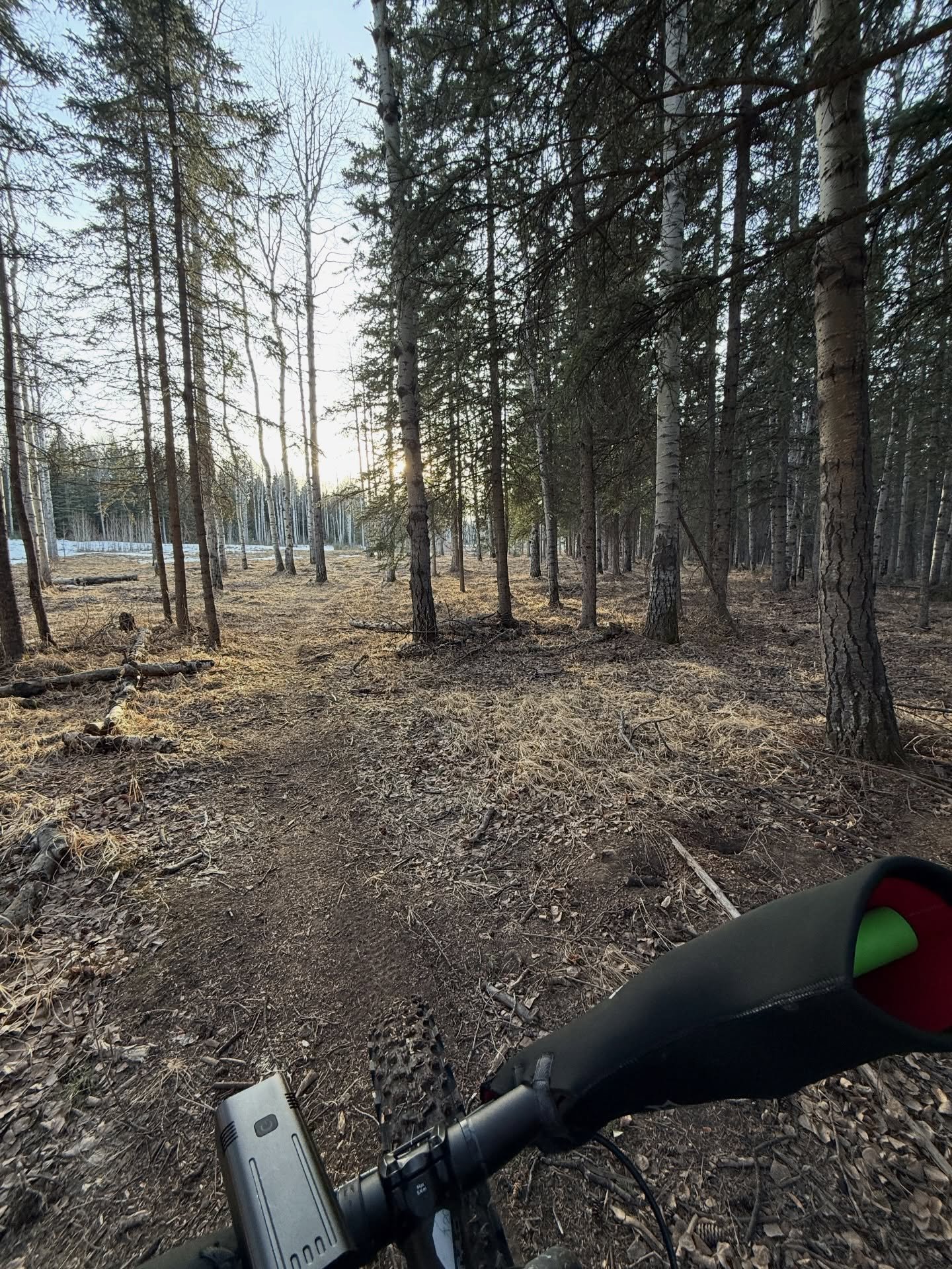 Looking for an update on the trails? Even with the mild weather there&rsquo;s fatbiking to be had! It&rsquo;s a bit of everything out there:  dry areas, ice, compacted snow and mud. We recommend them Lower bighorn Fastrax loop. The Growler loop is ri