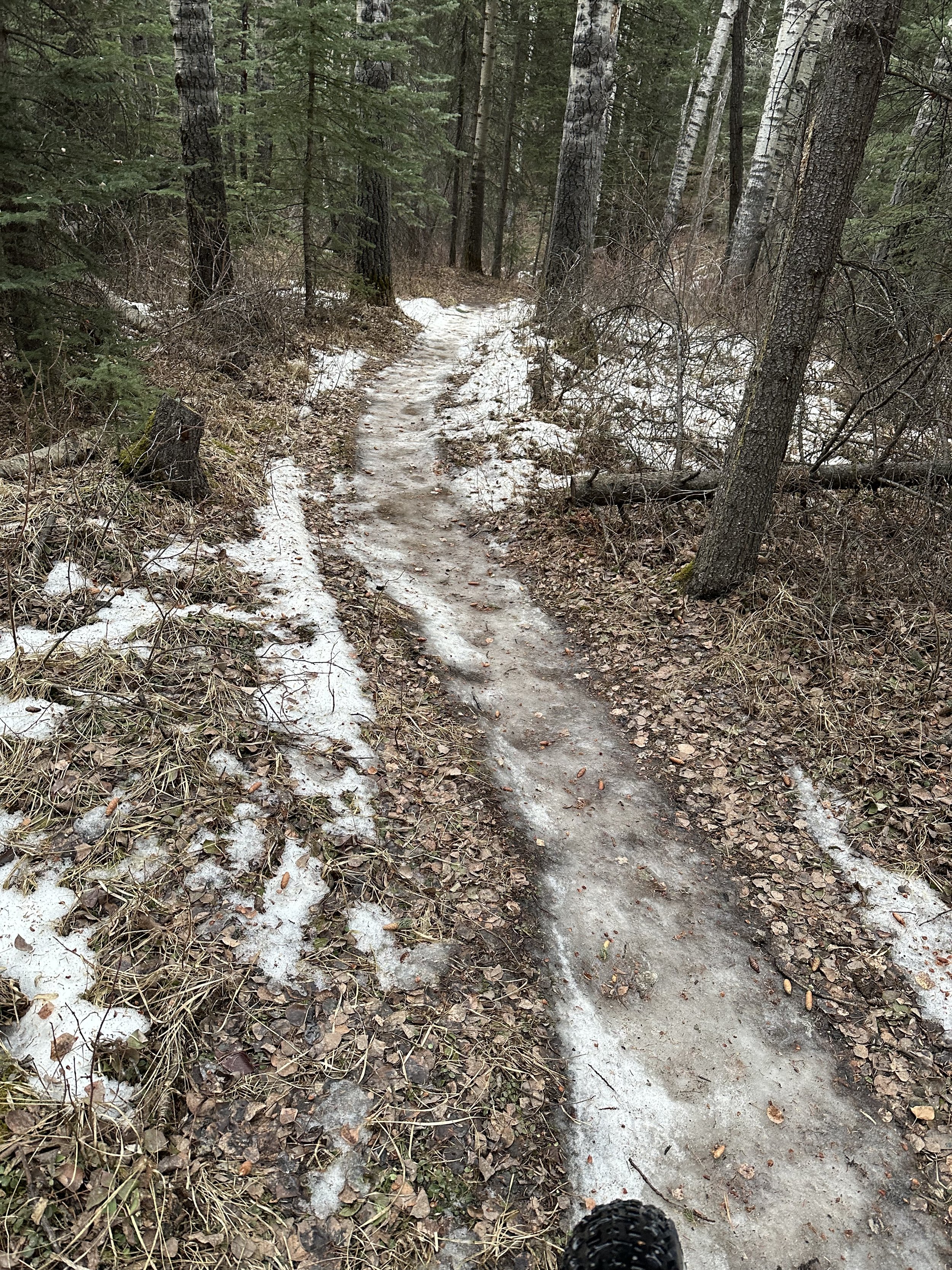 Growler Registration Closing Soon!