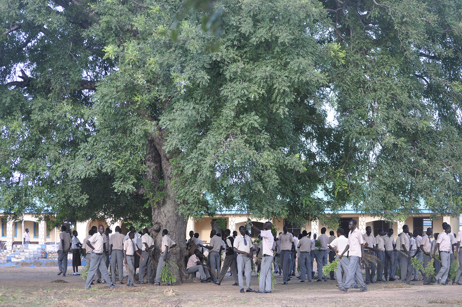 Students_gathered_in_the shade.jpg