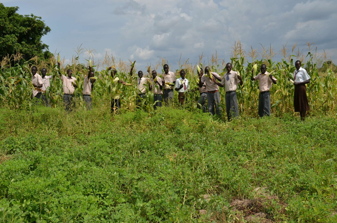 Students_in_the_maize.jpg