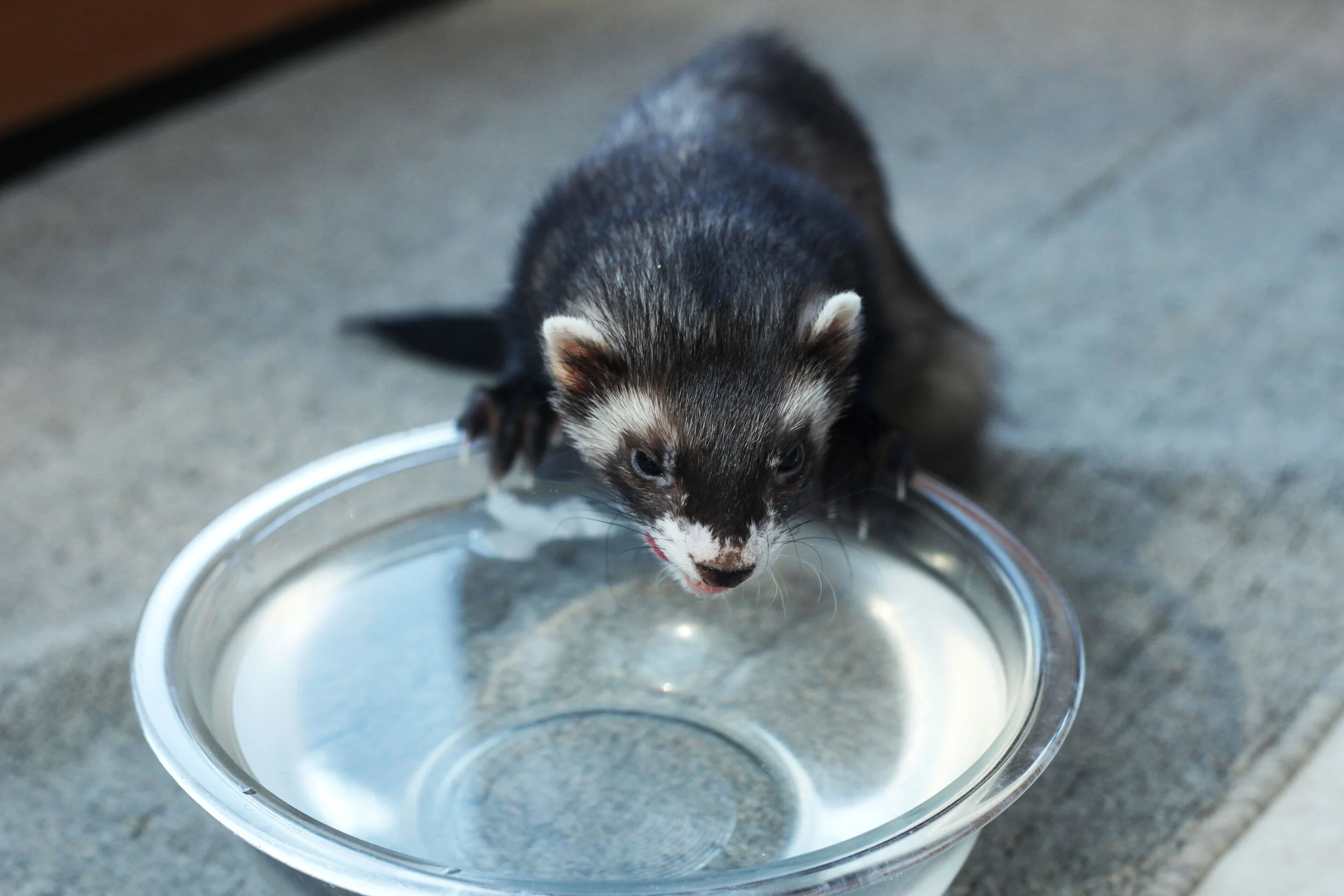 A photo shoot is not a photo shoot without the outtakes. Also, it’s important to re-hydrate after a modeling session.