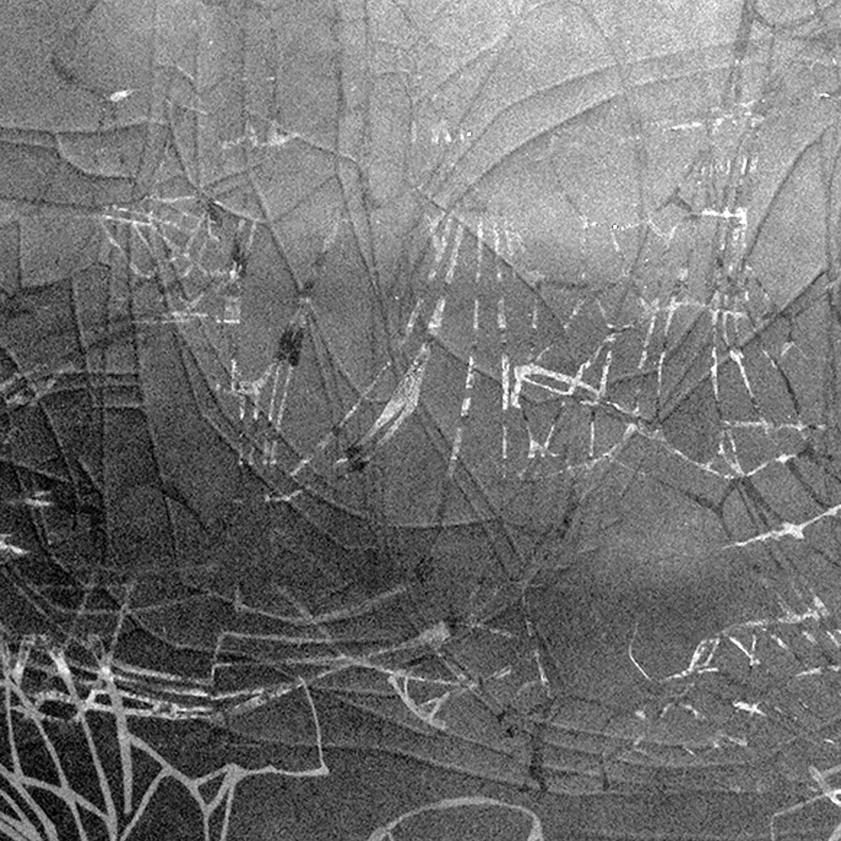 Carved Impression #2