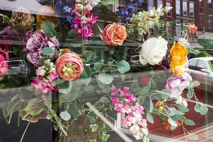 Flowers.window.belfast.jpg