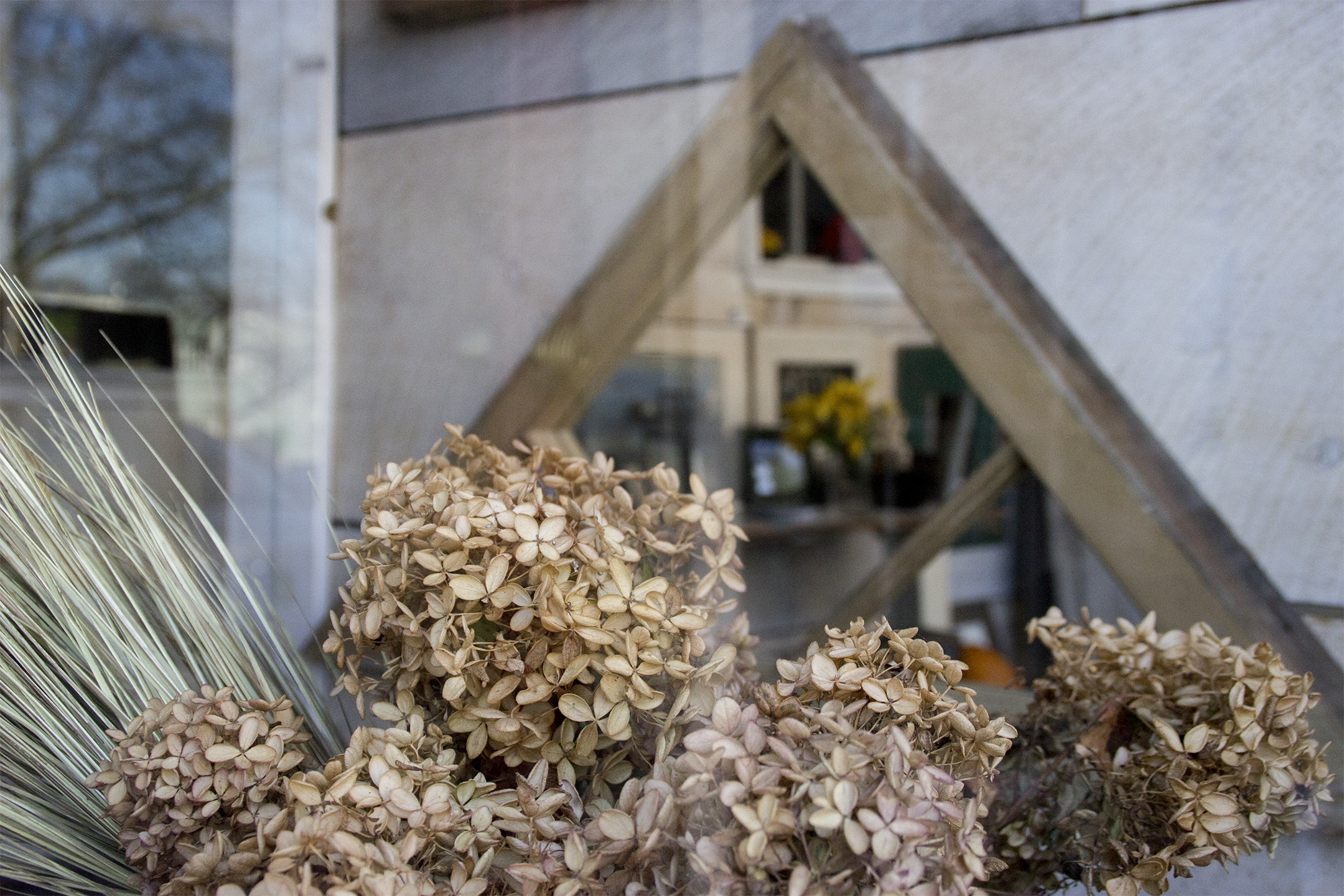 Hydrangea,grass, mirror.jpg