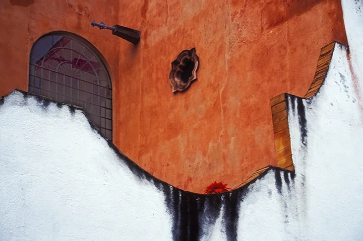 3poinsettia wall.jpg