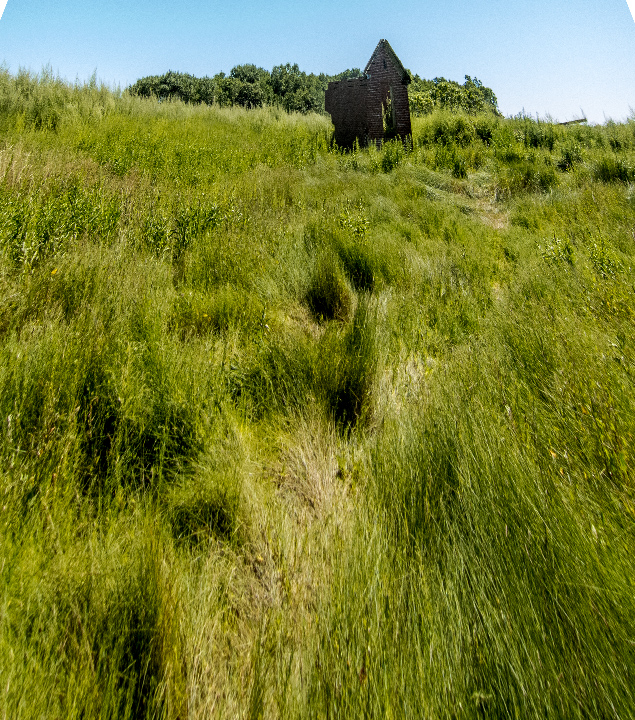 Lovells house, far.jpg