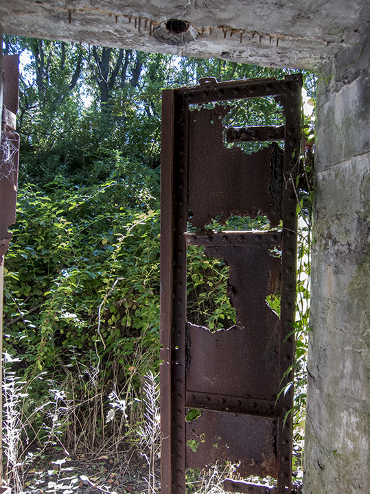 rusted door.jpg
