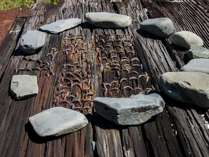 staples and stones.jpg