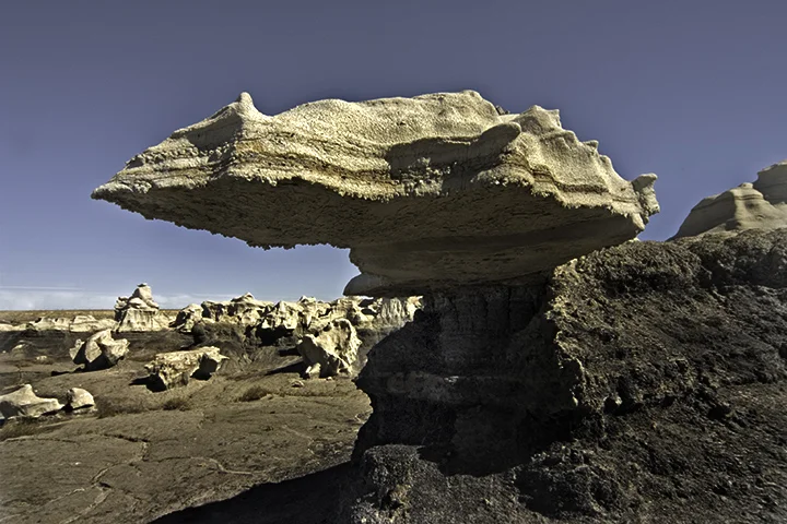 *2004.9.Bisti9.SELECT-011.jpg
