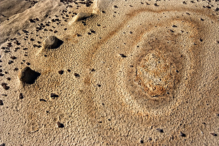 _2004.9.Bisti9.8x12PRINT-002.jpg