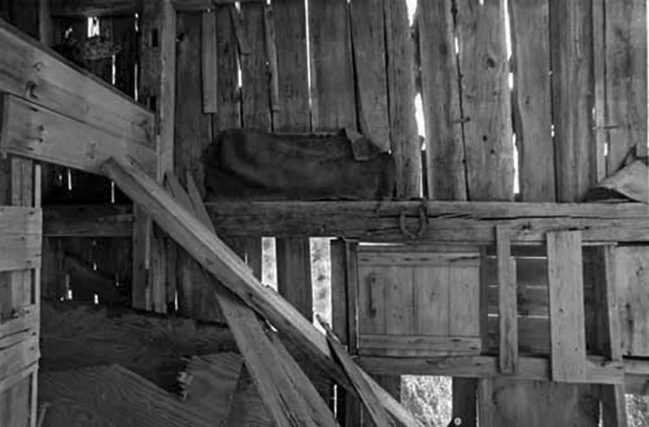 barn horsedoorsharpflat.jpg