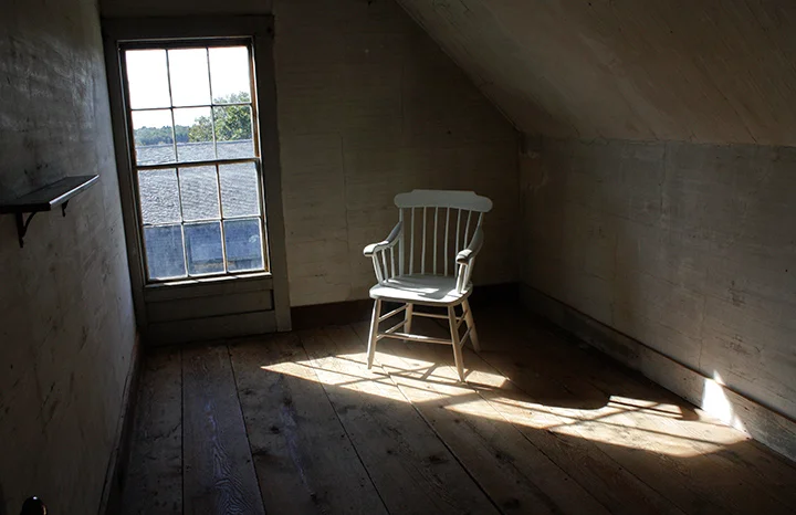 dianne.back room.jpg