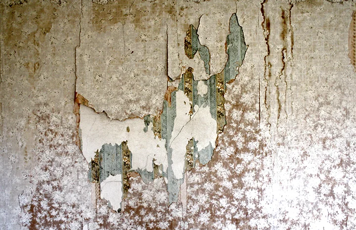 History of Wallpapercrp.jpg