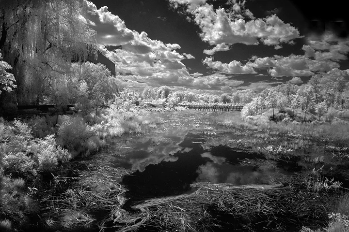 Behind Alewife, Cambridge, MA .jpg