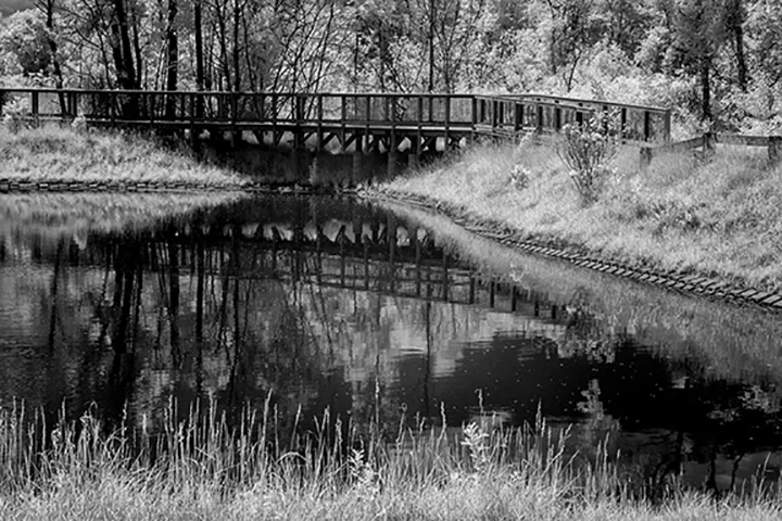 Bridge behindAlewife.jpg