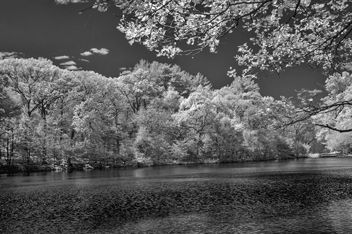 Menotomy Rocks Park.jpg