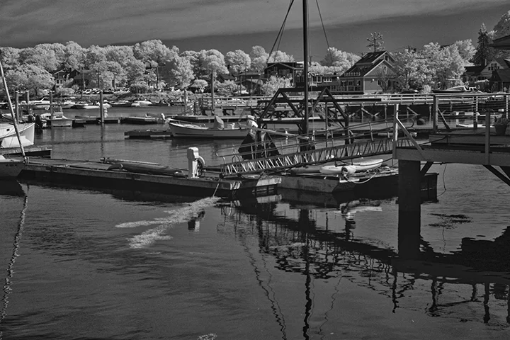 Gloucester harbor.jpg