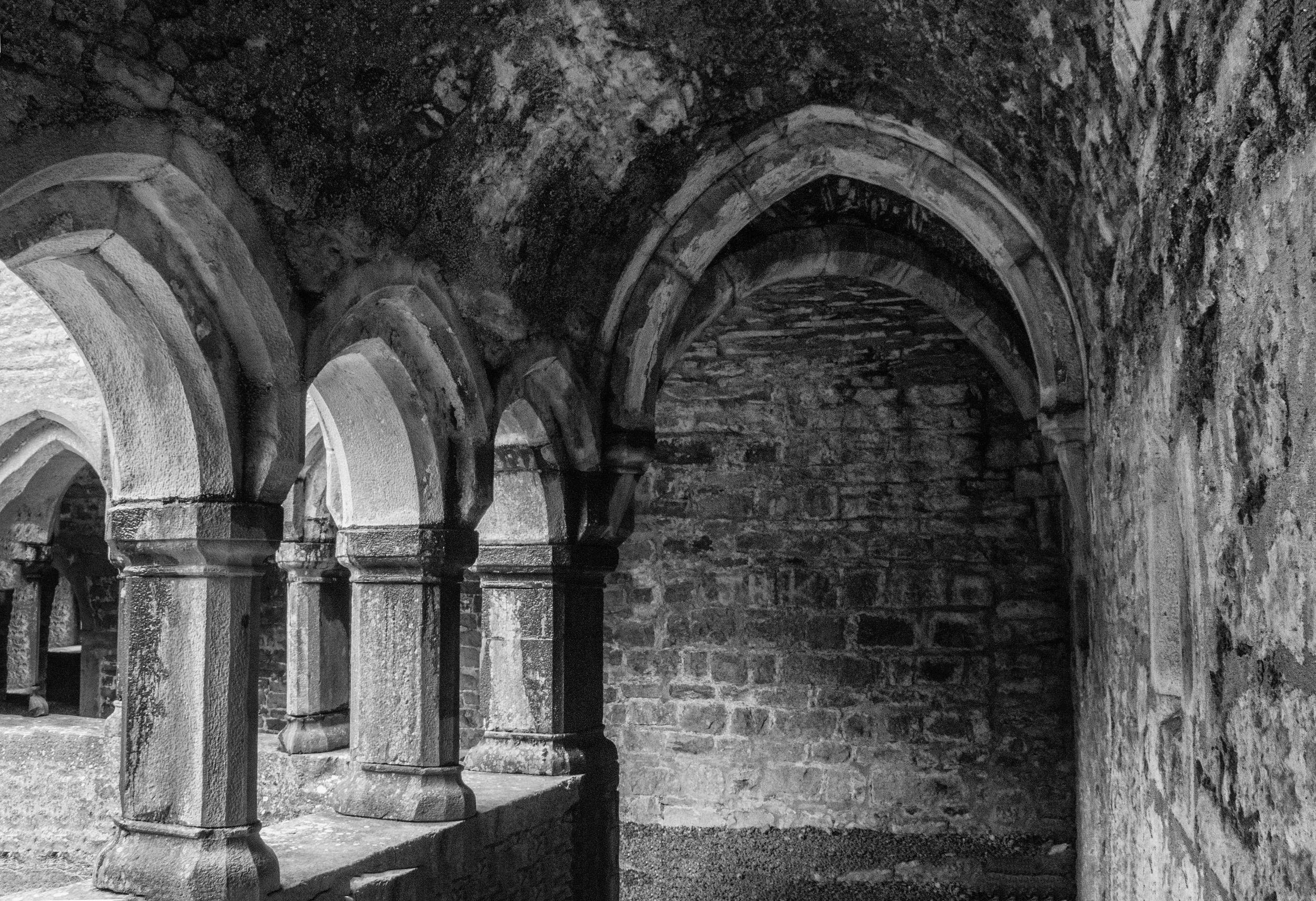 moyne-cloister.jpg