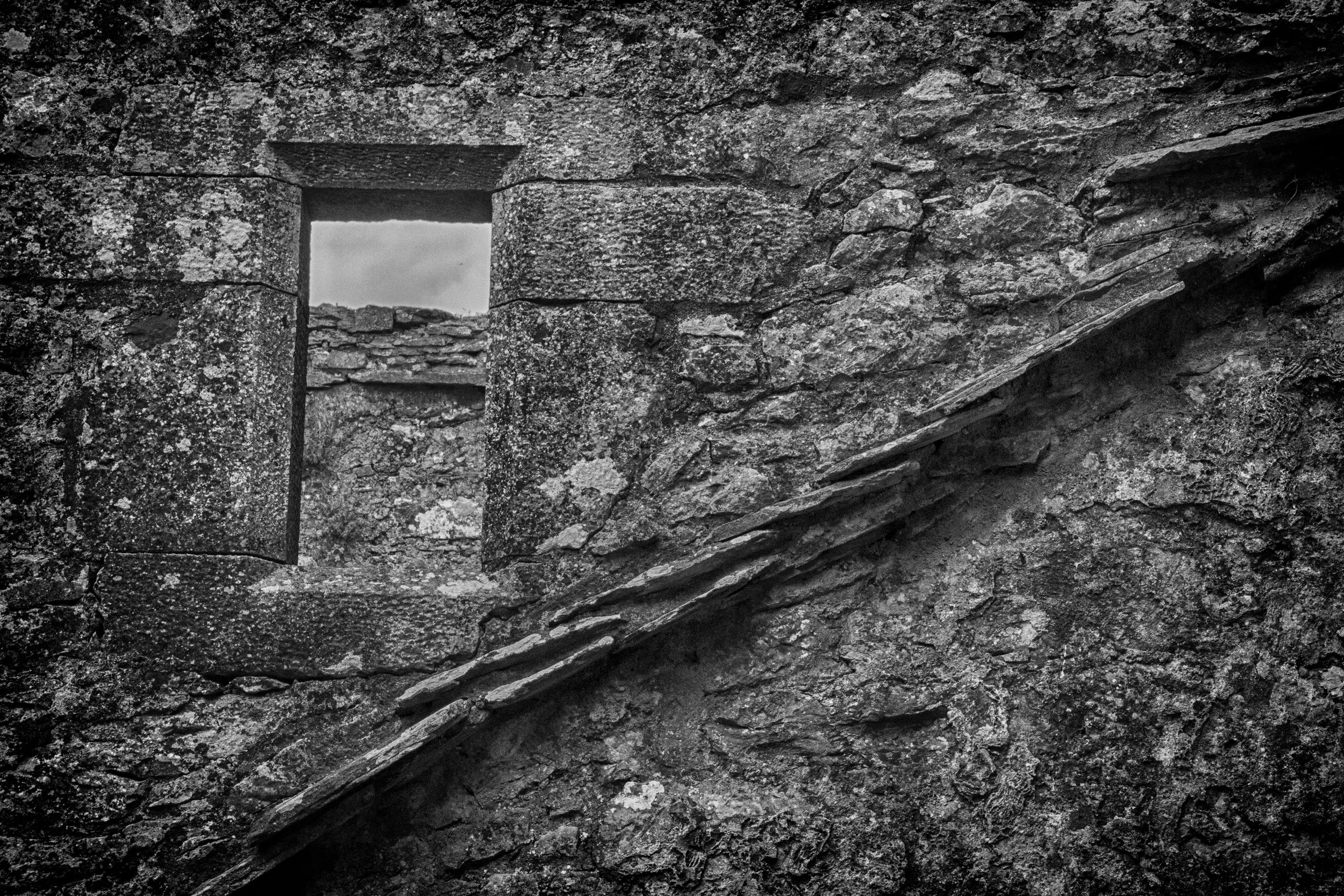 Window-wallb.w.jpg
