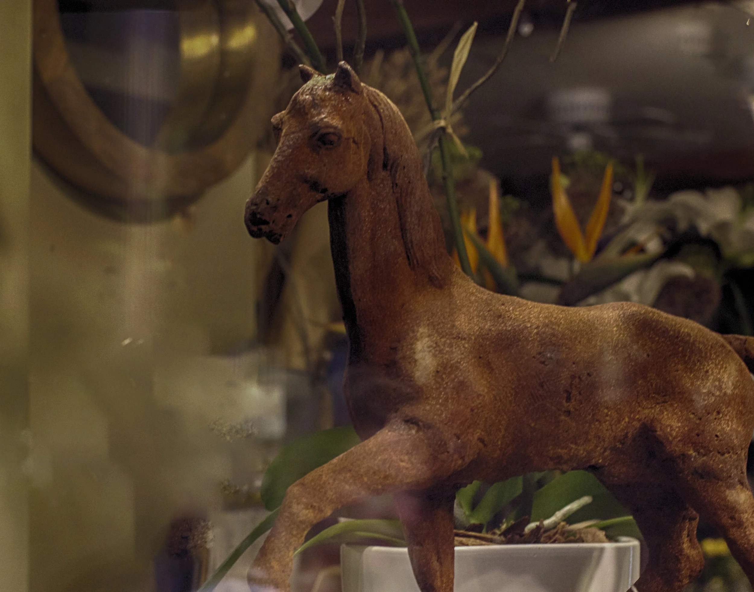 horse in windowb.w-truro.jpg