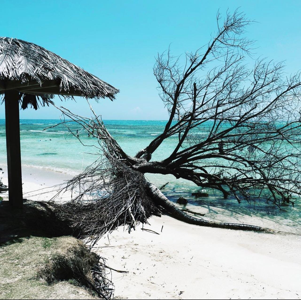 Palomino Island is the largest of three private islands bordering Puerto Rico. Exclusive to guest of the El Conquistador resort, the island offers kayaking, snorkeling, horseback riding, jet-skiing and other fun beach activists. The white sand beach 