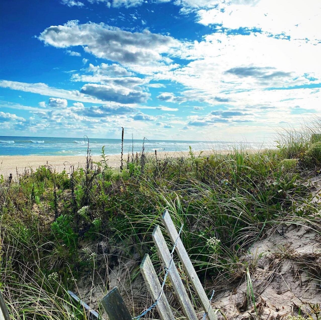 Might be chilly in the winter, but East Coast sure makes up for it during the summer ☀️🌊 Which Hampton town ya hitting up?