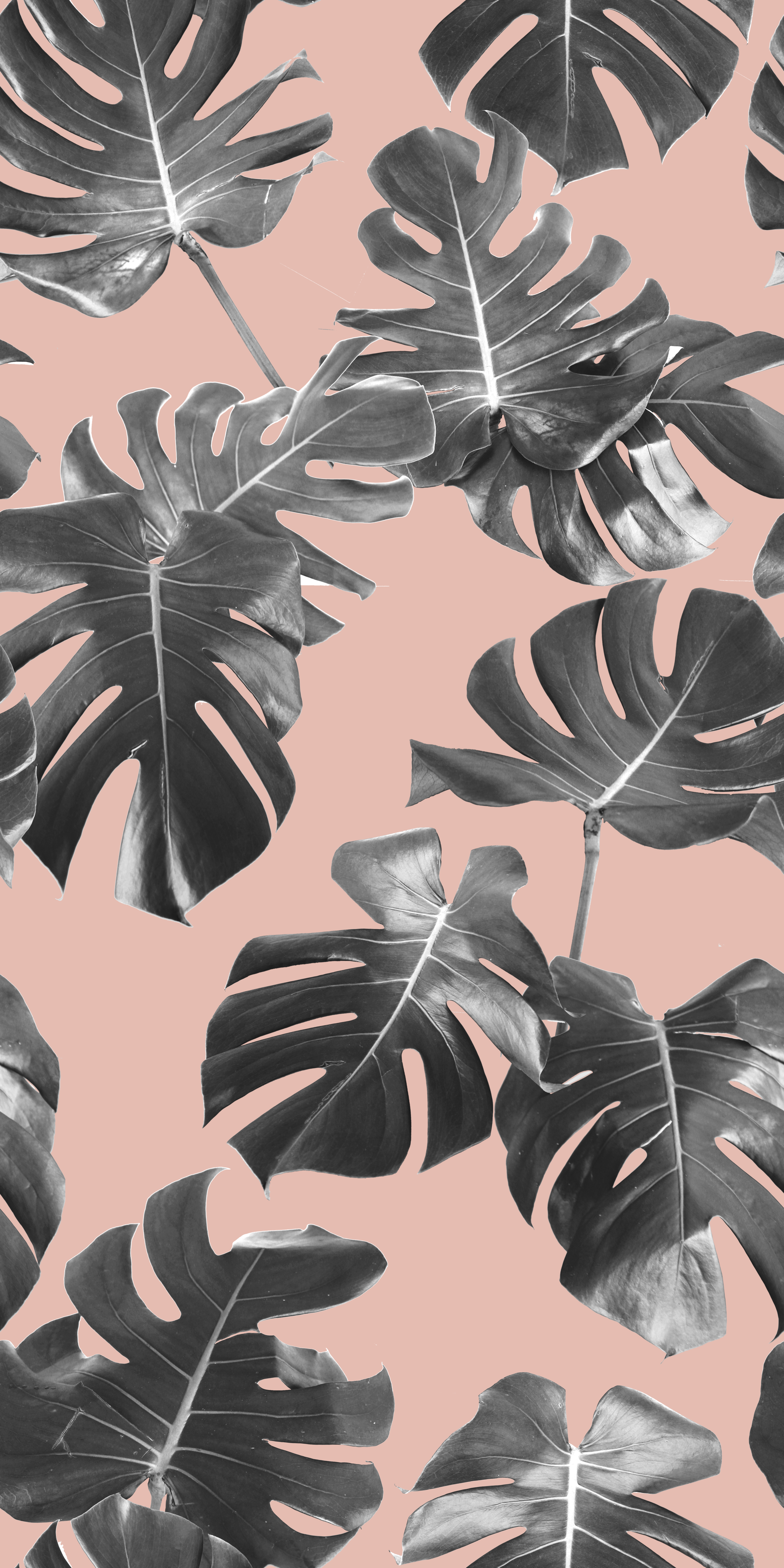 Monstera Leaf Pattern_TILE_BLUSH.png