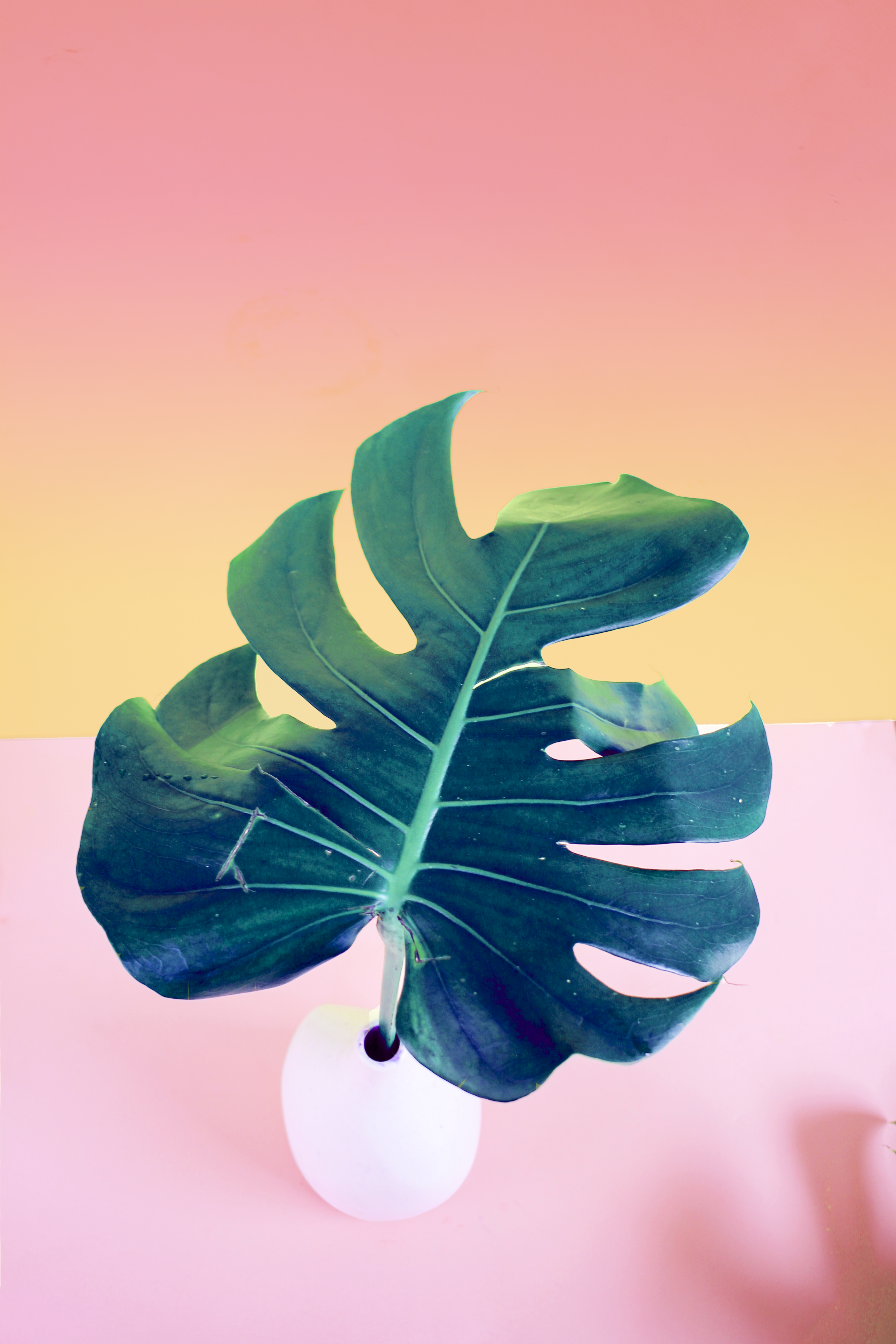 Tropical Leaf Print_01_FINAL.png