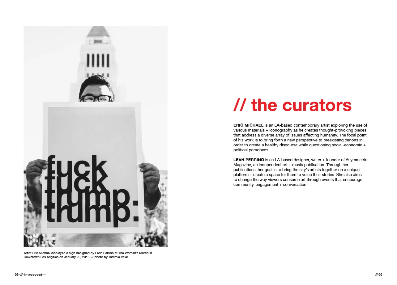 introspect_book_preview5.jpg