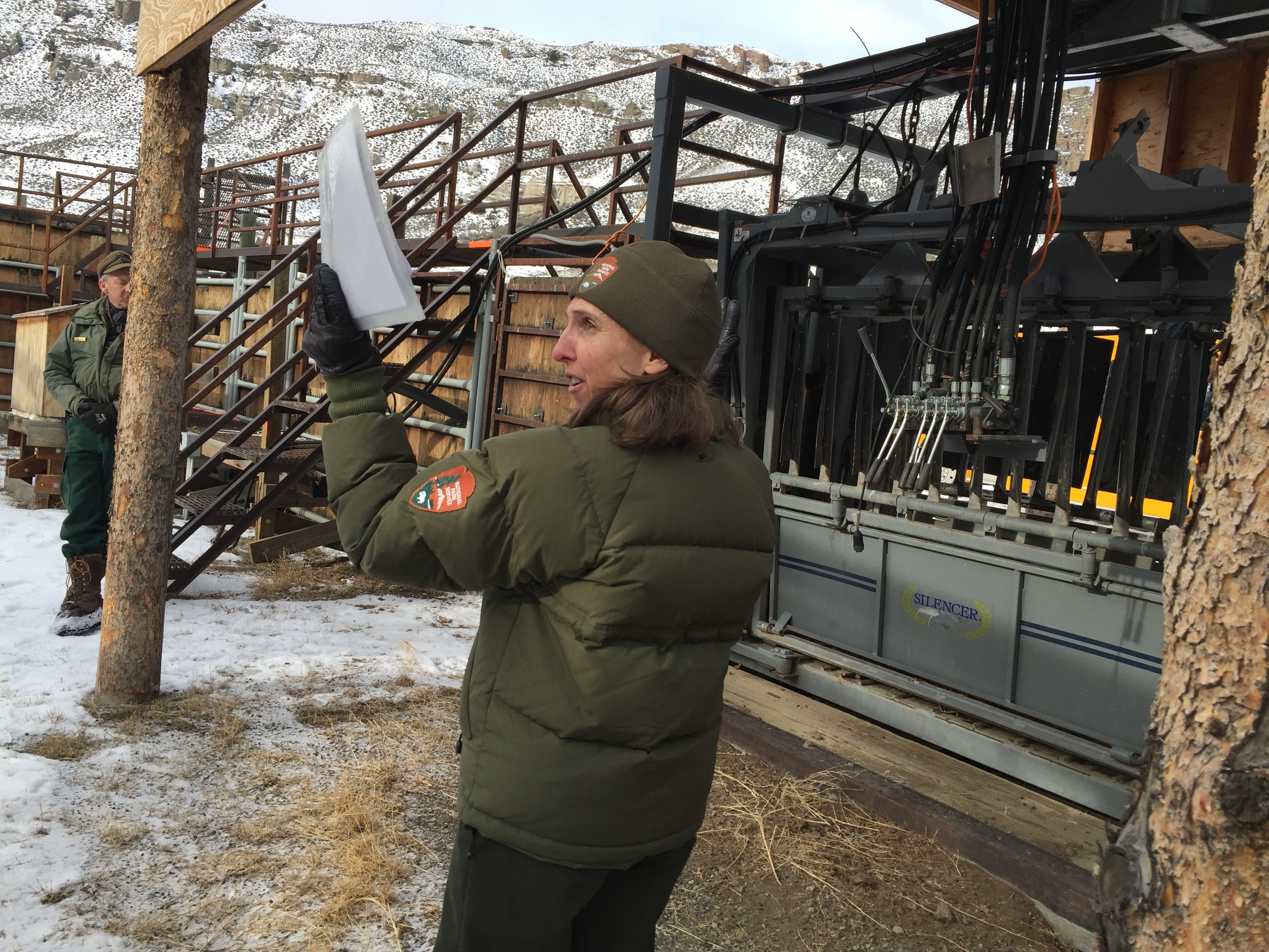 Jody Lyle of Yellowstone National Park led a tour of the Stephens Creek facility on January 20. Behind her is the squeeze chute where bison are tagged and tested before being sent to slaughter.