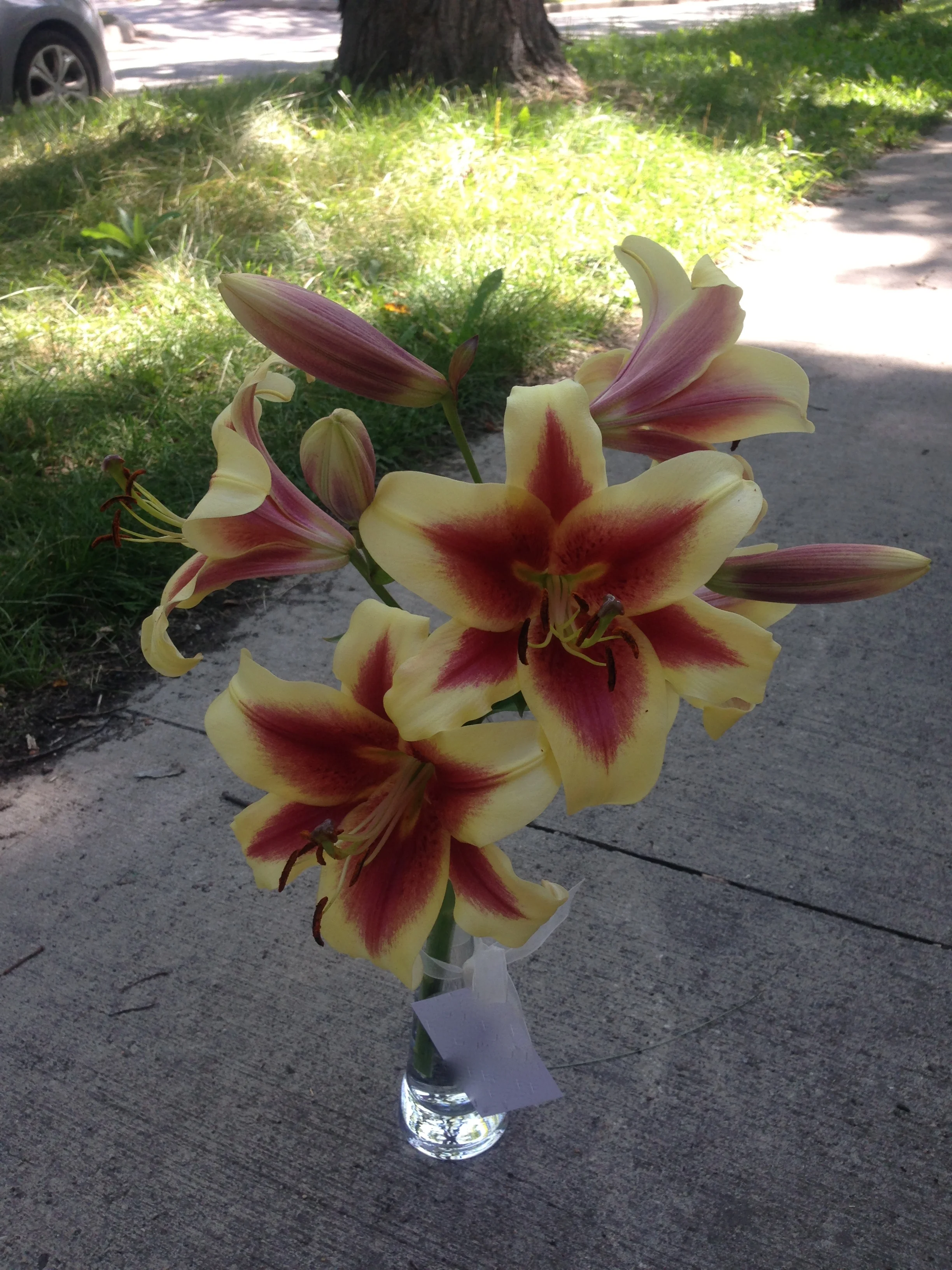 A gift for a bride whose wedding we could not attend.