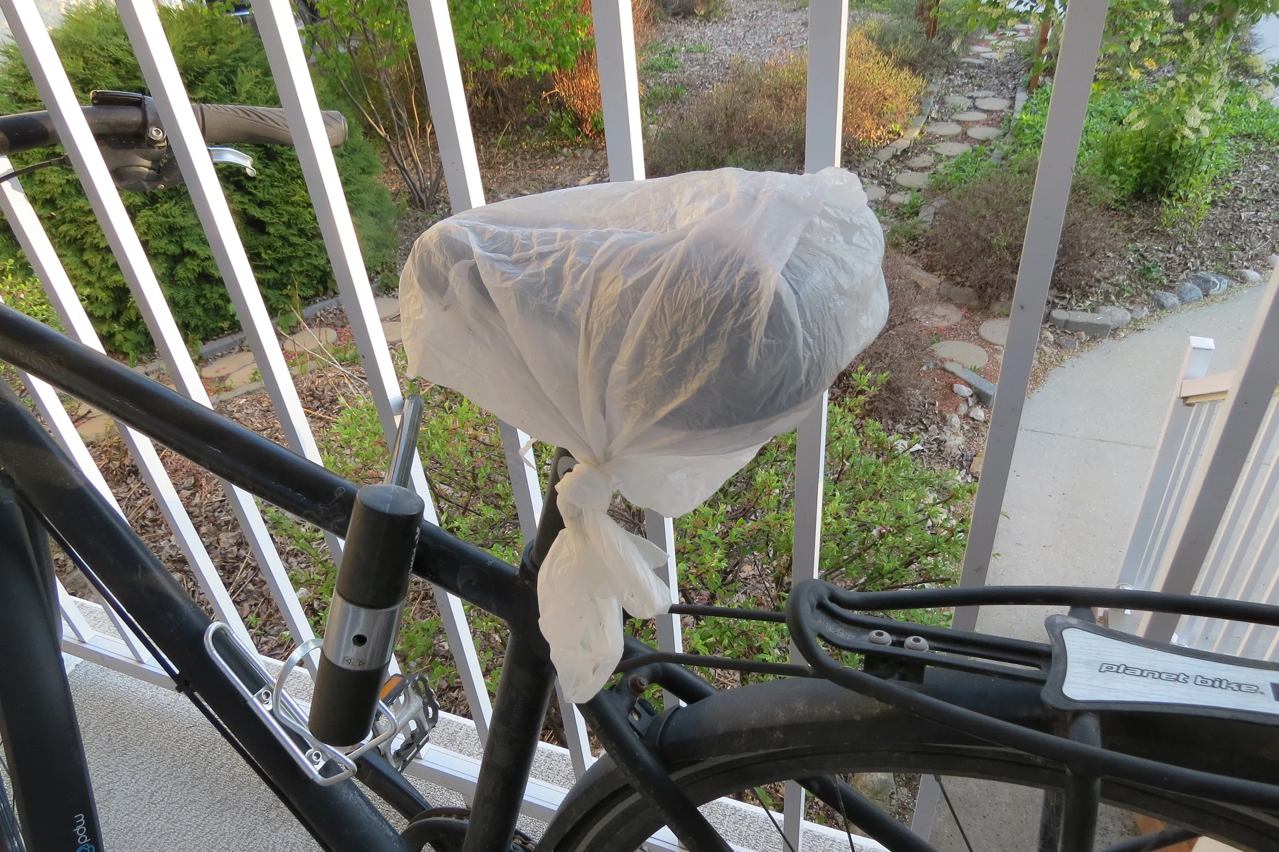 Here's my covered bike seat. The top of the seat has holes for venting, which he decided to peck at repeatedly, making a mess of it.
