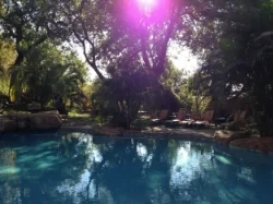 My safari-free afternoon was spent enjoying the pool. It was time "well wasted".