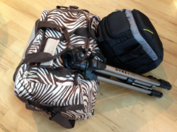 This is what I brought with me to Africa in 2014. This bag is bigger than what I usually travel with but it does convert to a backpack, which I like. The additional items I brought on this trip were a camera & bag, tripod, binoculars and international power adapters. I don't usually bring those things with me but hey, this was a safari!