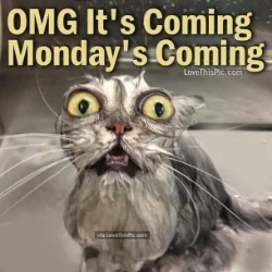 OMG_Monday.jpg