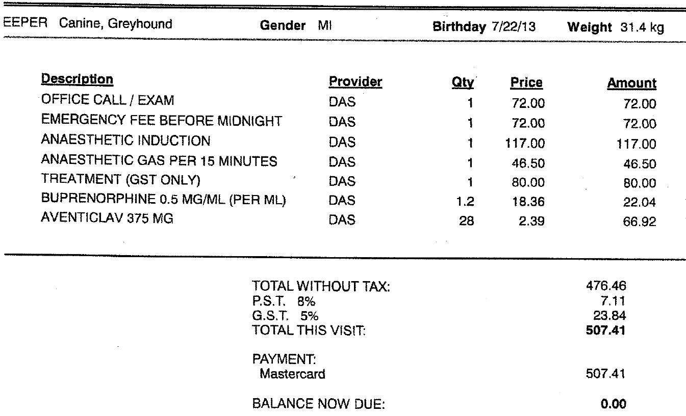 Keeper_vet_bill_0716.png