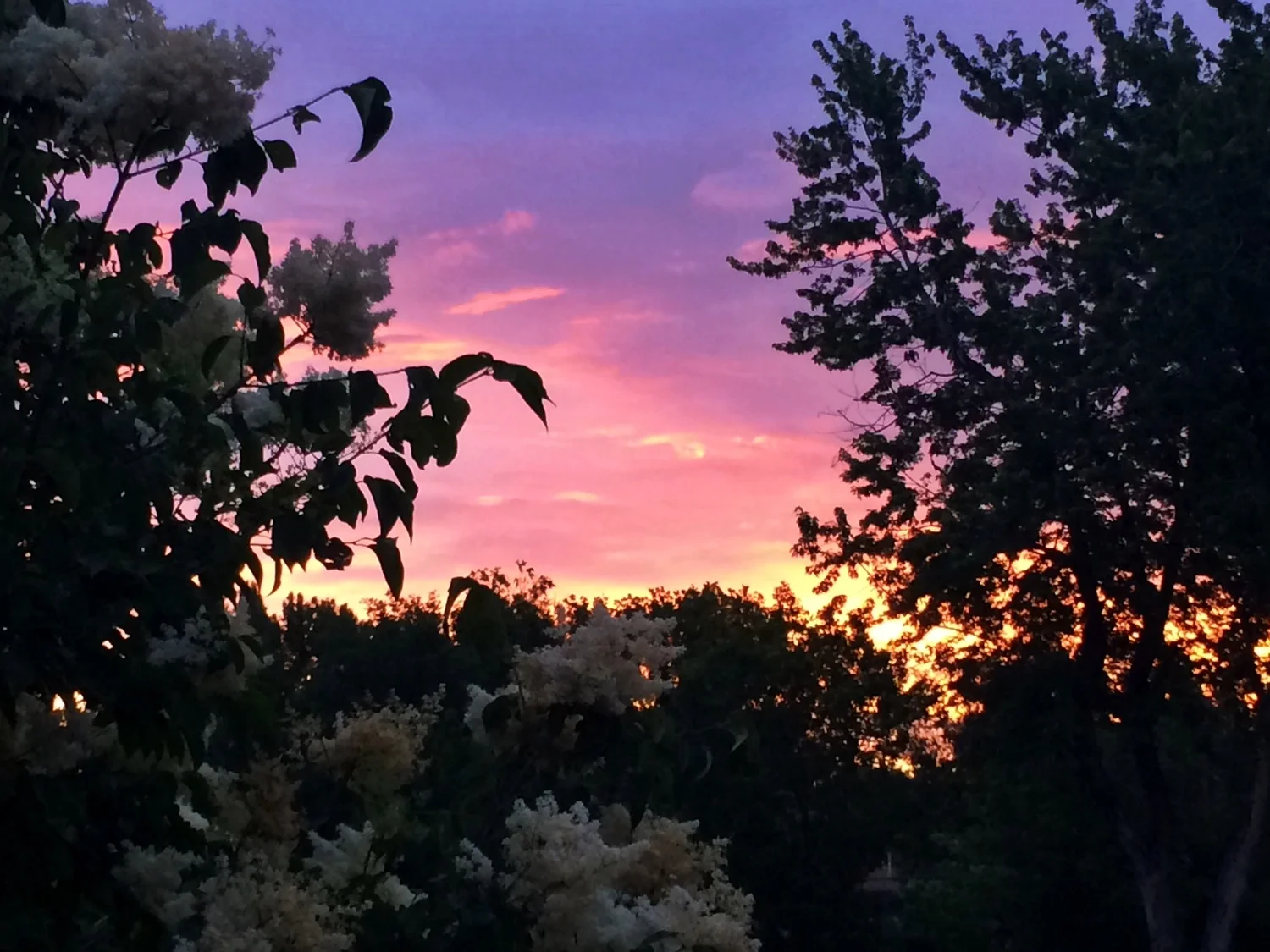 Fond Fare-WARPED: Warped Update #8