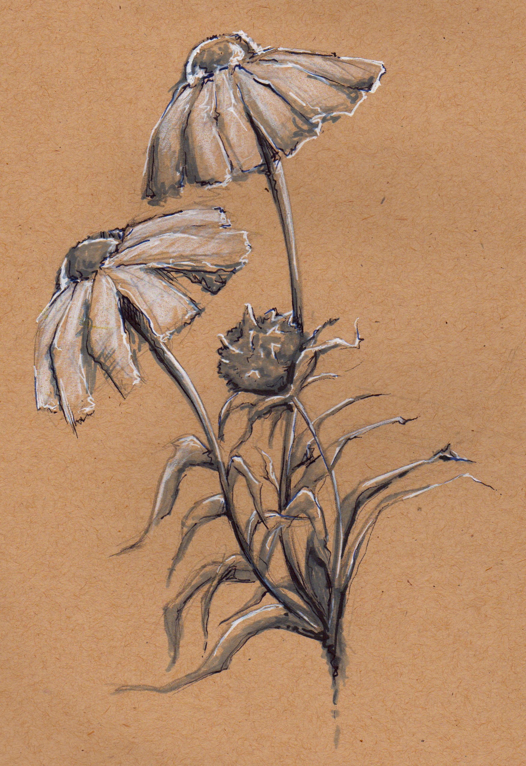 - Yellowstone Flowers Arm Tattoo - 