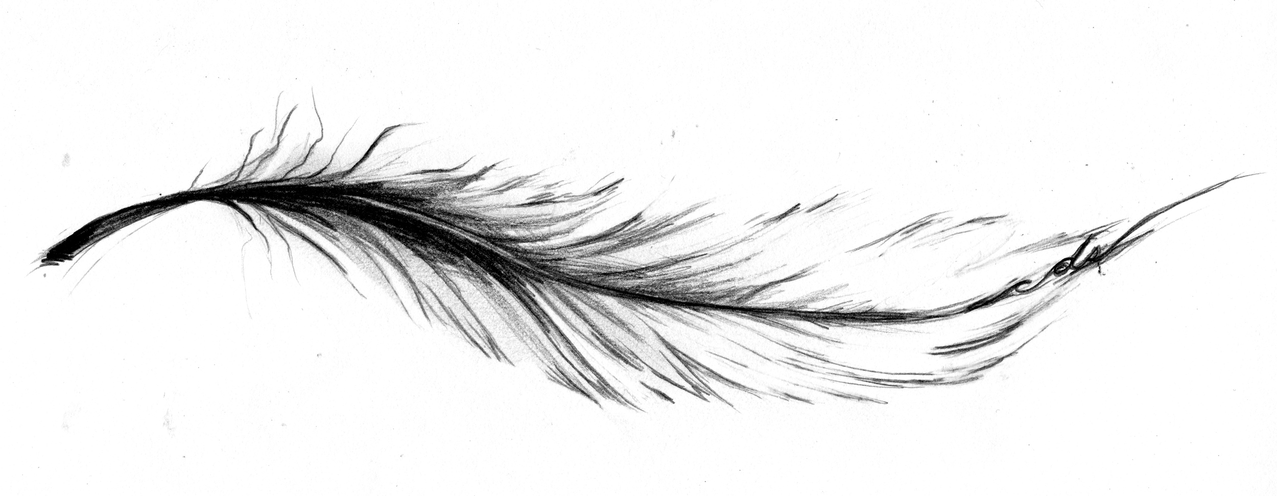 Details more than 84 simple feather tattoo designs best - esthdonghoadian